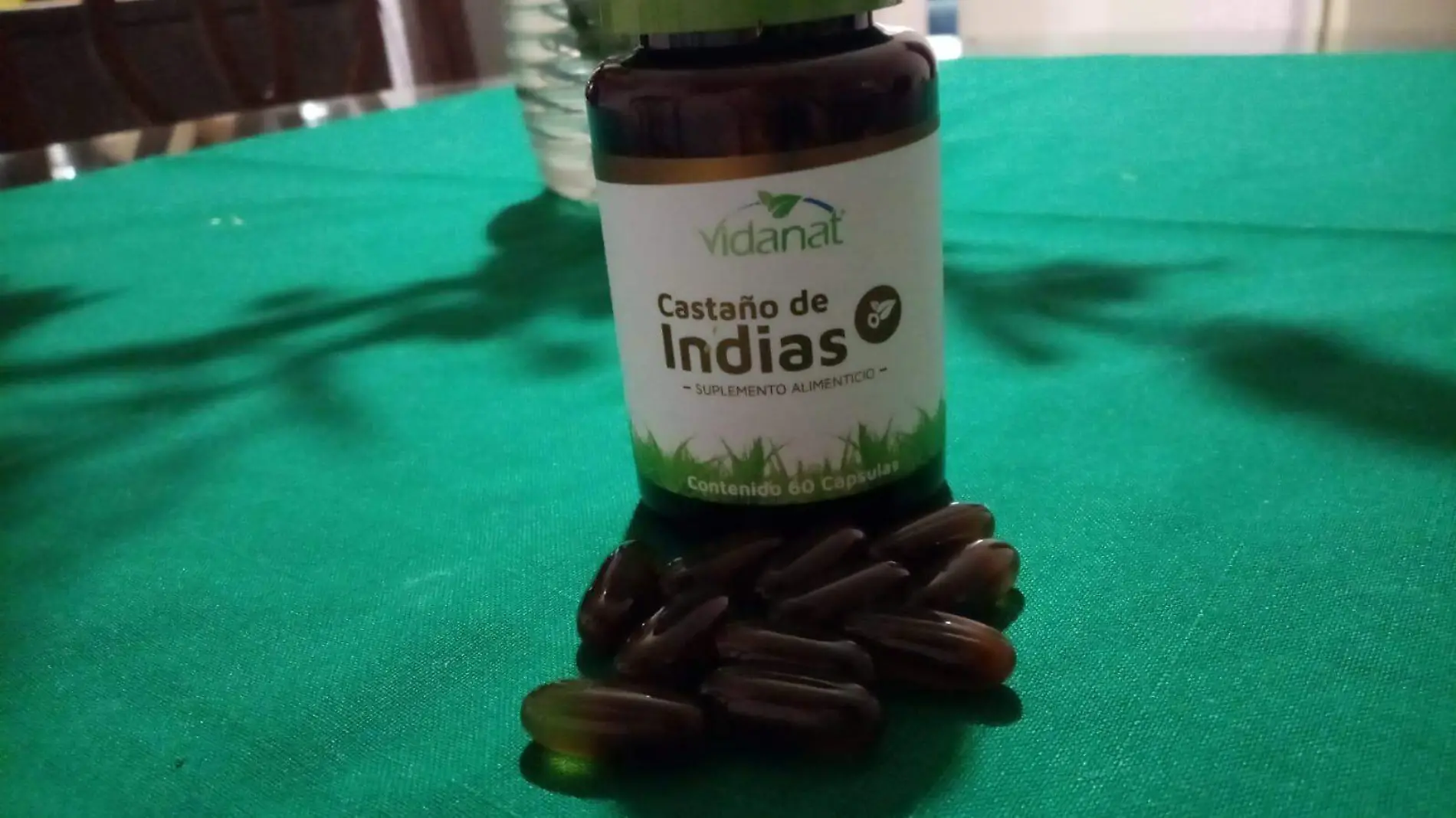 castaño de indias